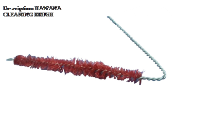 Cleaning Brush