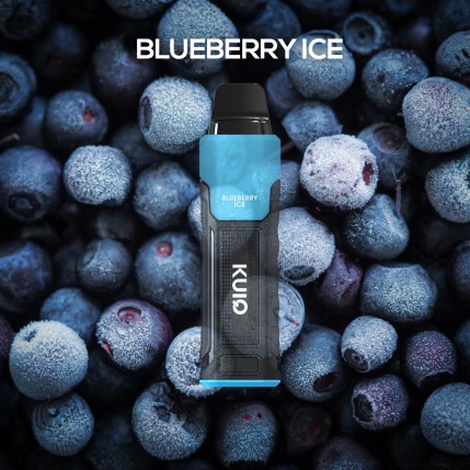 (2% Salt Mc.) Blueberry Ice (Puff 3000)