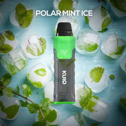 (2% Salt Mc.) Polar Mint Ice (Puff 3000)